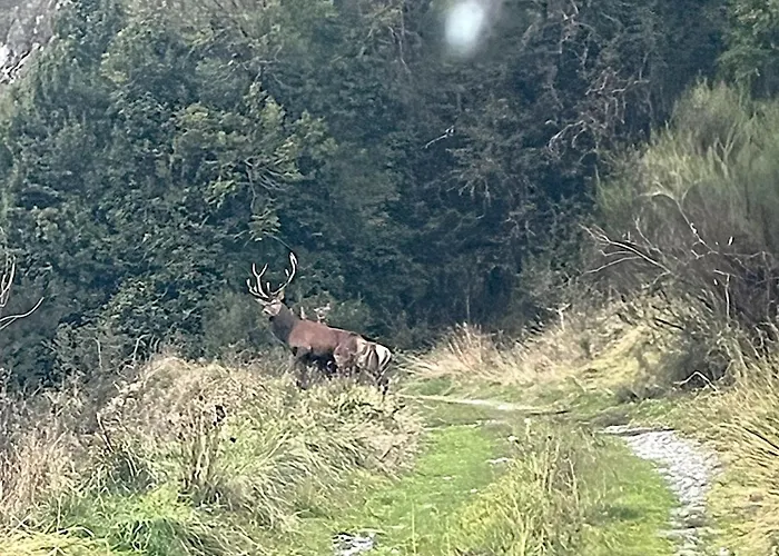 La Grange Du Taillat شاليه *